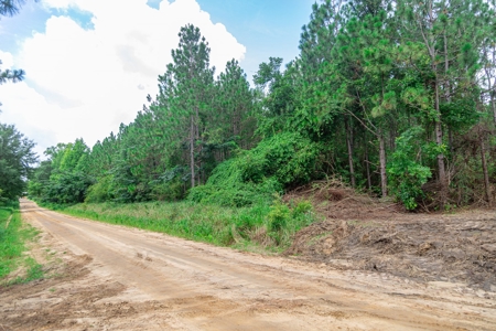 8.6 +/- Acres For Sale In Slocomb AL - image 9