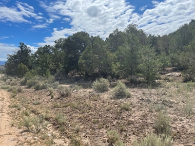 Off Grid Land For Sale in Ignacio, Colorado! - image 6
