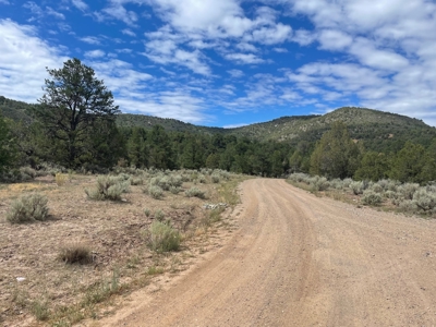 Off Grid Land For Sale in Ignacio, Colorado! - image 3