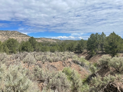 Off Grid Land For Sale in Ignacio, Colorado! - image 1