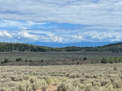 Off Grid Land For Sale in Ignacio, Colorado! - image 7