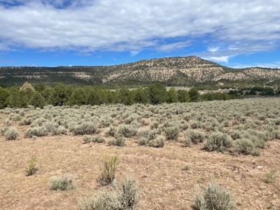 Off Grid Land For Sale in Ignacio, Colorado! - image 4