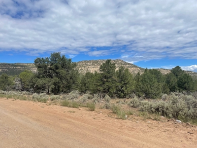 Off Grid Land For Sale in Ignacio, Colorado! - image 2