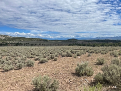 Off Grid Land For Sale in Ignacio, Colorado! - image 5