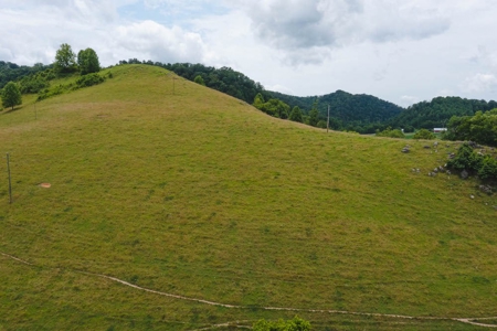Gorgeous River Property for Sale in Mendota VA! - image 4
