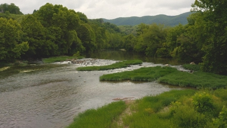 Gorgeous River Property for Sale in Mendota VA! - image 2