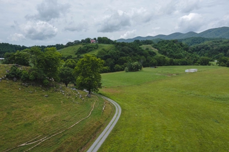 Gorgeous River Property for Sale in Mendota VA! - image 3