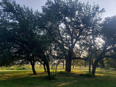 West Texas Riverfront Home For Sale in Irion County, TX - image 38