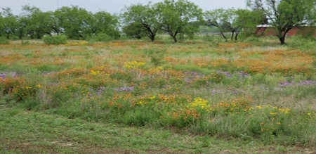West Texas Riverfront Home For Sale in Irion County, TX - image 26