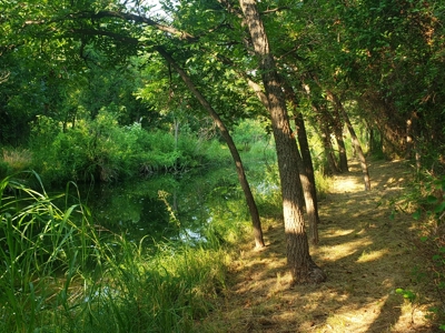 West Texas Riverfront Home For Sale in Irion County, TX - image 17