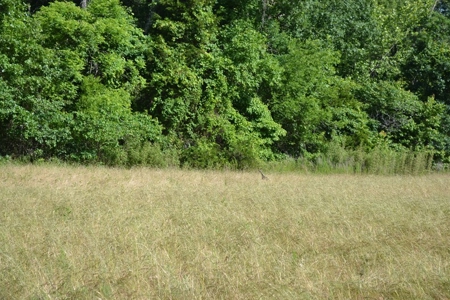 Ranch for Sale in Howell County, Missouri - Farm & Hunt - image 10