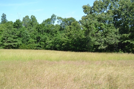 Ranch for Sale in Howell County, Missouri - Farm & Hunt - image 4