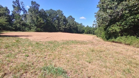 Ranch for Sale in Howell County, Missouri - Farm & Hunt - image 23