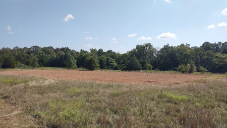Ranch for Sale in Howell County, Missouri - Farm & Hunt - image 21