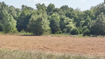 Ranch for Sale in Howell County, Missouri - Farm & Hunt - image 22