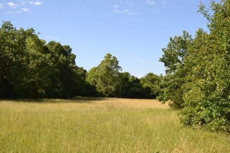 Ranch for Sale in Howell County, Missouri - Farm & Hunt - image 6