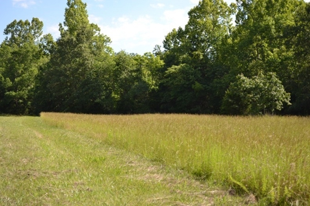 Ranch for Sale in Howell County, Missouri - Farm & Hunt - image 8