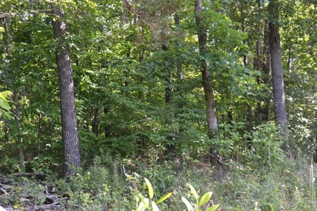 Ranch for Sale in Howell County, Missouri - Farm & Hunt - image 15
