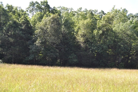 Ranch for Sale in Howell County, Missouri - Farm & Hunt - image 18