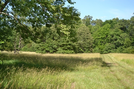 Ranch for Sale in Howell County, Missouri - Farm & Hunt - image 7