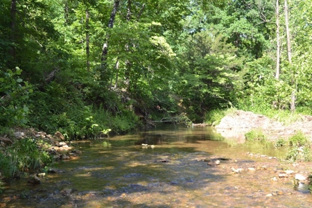 Ranch for Sale in Howell County, Missouri - Farm & Hunt - image 20