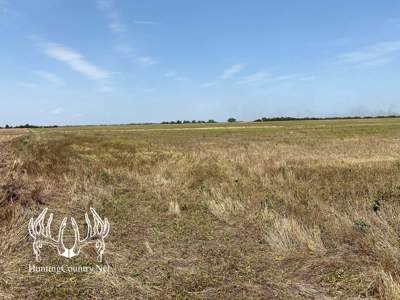 61 acres m/l. Sumner County Kansas Land for Sale - image 6
