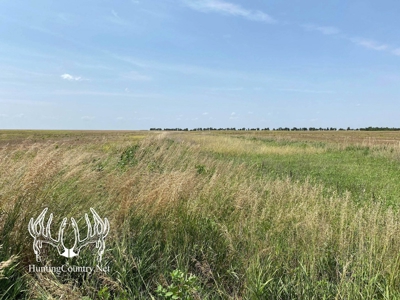 61 acres m/l. Sumner County Kansas Land for Sale - image 1