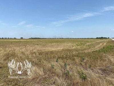 61 acres m/l. Sumner County Kansas Land for Sale - image 5