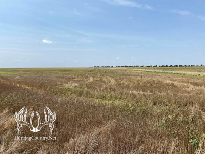 61 acres m/l. Sumner County Kansas Land for Sale - image 4