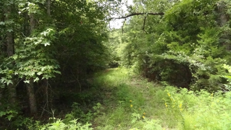 Cherokee County, TX Land For Sale - image 21