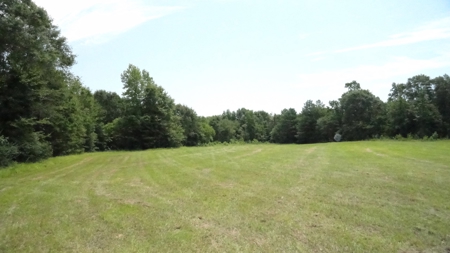 Cherokee County, TX Land For Sale - image 22