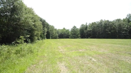 Cherokee County, TX Land For Sale - image 12