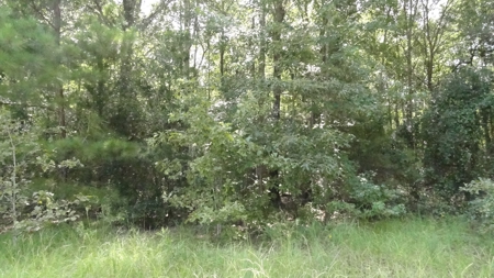 Cherokee County, TX Land For Sale - image 7
