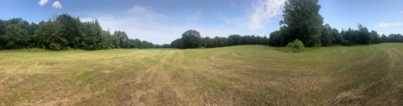 Cherokee County, TX Land For Sale - image 23