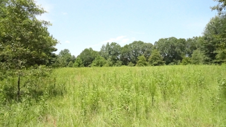 Cherokee County, TX Land For Sale - image 11