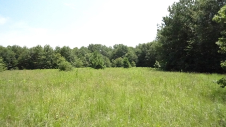 Cherokee County, TX Land For Sale - image 8