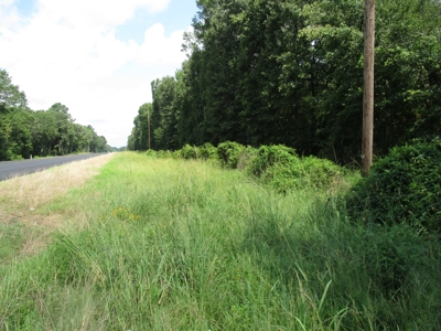 Cherokee County, TX Land For Sale - image 3