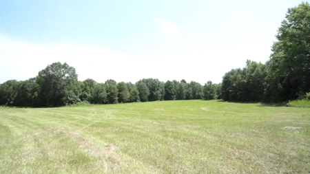 Cherokee County, TX Land For Sale - image 4