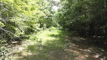 Cherokee County, TX Land For Sale - image 13