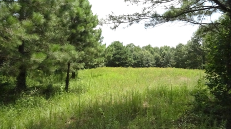 Cherokee County, TX Land For Sale - image 14