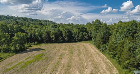 364 acres Premier Managed Land For Sale in Adams County Ohio - image 29