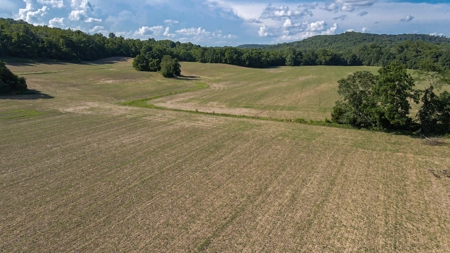 364 acres Premier Managed Land For Sale in Adams County Ohio - image 34