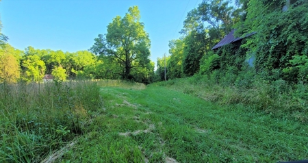 364 acres Premier Managed Land For Sale in Adams County Ohio - image 17