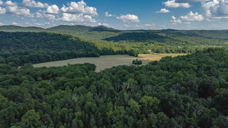 364 acres Premier Managed Land For Sale in Adams County Ohio - image 32