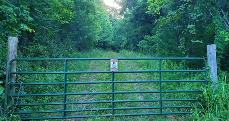 364 acres Premier Managed Land For Sale in Adams County Ohio - image 24