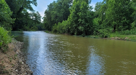 364 acres Premier Managed Land For Sale in Adams County Ohio - image 3