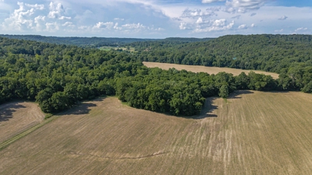 364 acres Premier Managed Land For Sale in Adams County Ohio - image 35