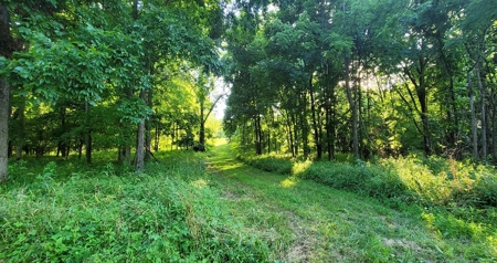 364 acres Premier Managed Land For Sale in Adams County Ohio - image 15