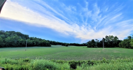 364 acres Premier Managed Land For Sale in Adams County Ohio - image 28
