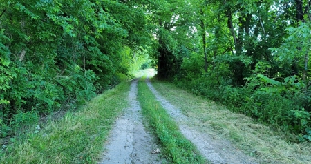 364 acres Premier Managed Land For Sale in Adams County Ohio - image 25
